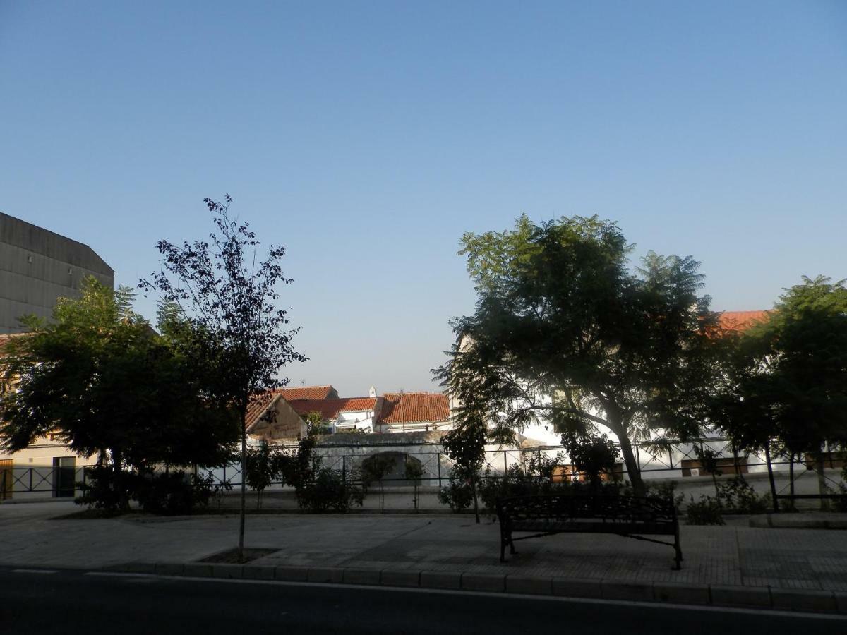 El Olivar Caces Exteriör bild